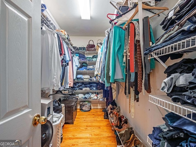 walk in closet featuring hardwood / wood-style flooring