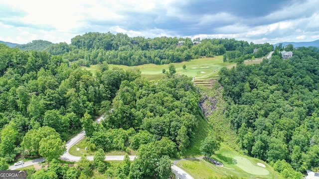 LOTE1 Waterfall Dr, Clayton, GA 30525