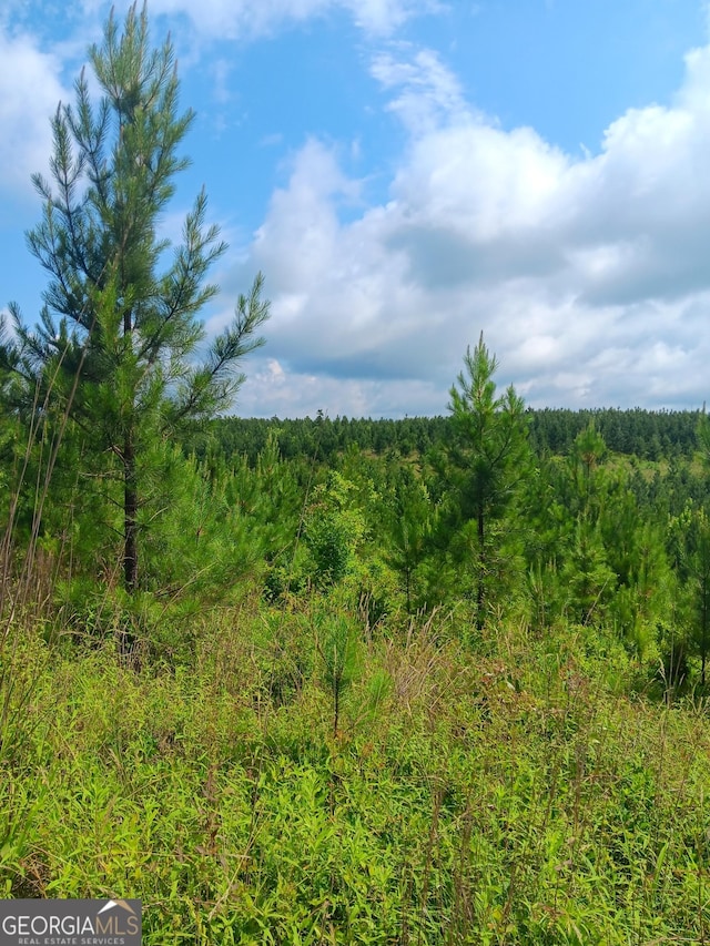 0 Lake Sinclair Rd, Sparta GA, 31087 land for sale