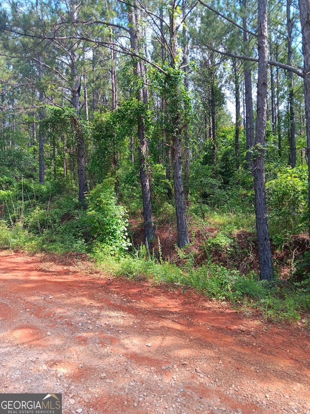 Listing photo 2 for 0 Lake Sinclair Rd, Sparta GA 31087