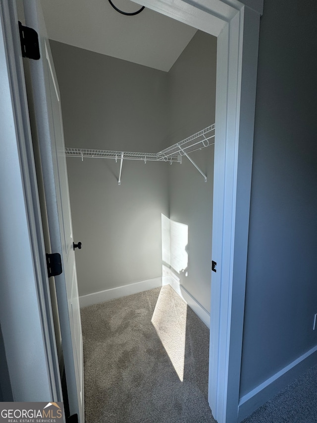 spacious closet featuring carpet floors