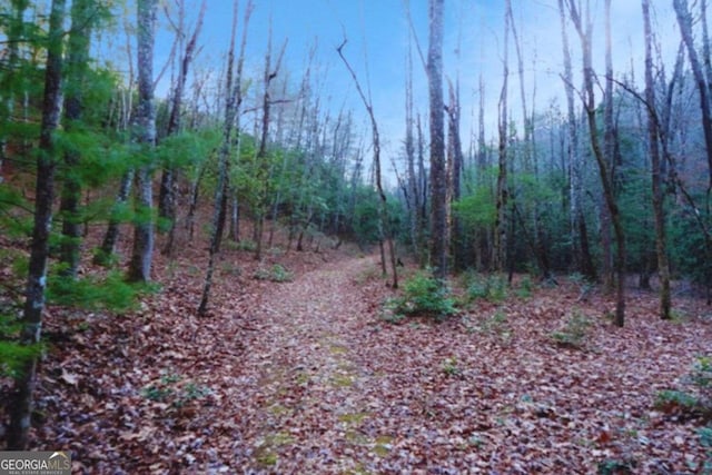 Listing photo 3 for LOT23 Shelton Springs Dr, Hayesville NC 28904