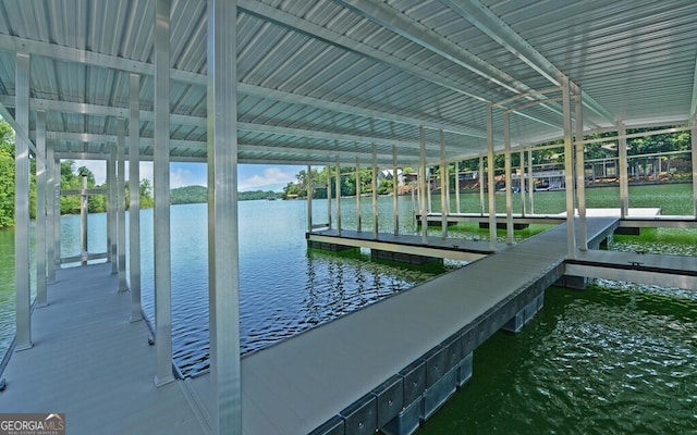 dock area with a water view