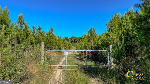 0 Marvis Chapman Rd, Ideal GA, 31041 land for sale