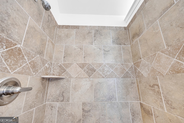 1216 Trophy Club Ave, Dacula, GA 30019 - room details featuring a tile shower