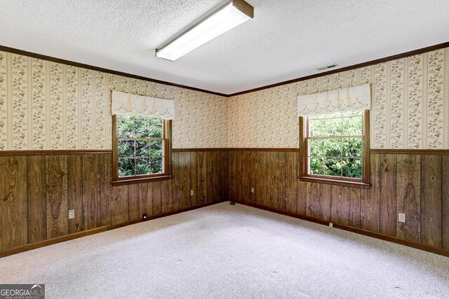 spare room with a textured ceiling, light colored carpet, and crown molding