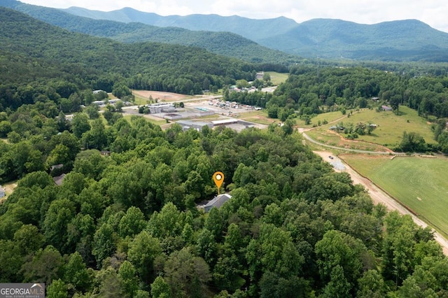 birds eye view of property with a mountain view