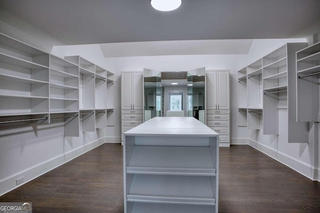 walk in closet featuring dark hardwood / wood-style floors