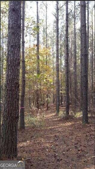 1047 Ponder Trammell Rd, Juliette GA, 31046 land for sale