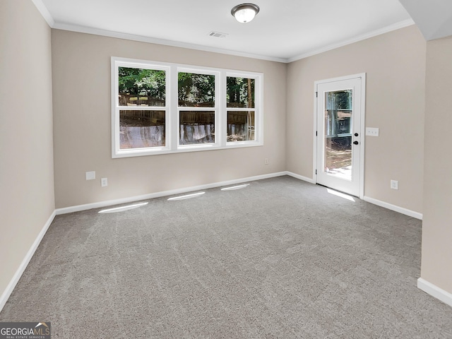 empty room with carpet floors and crown molding