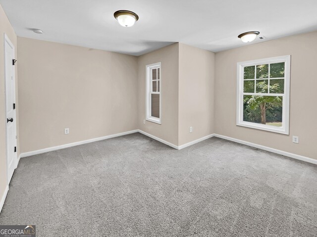 spare room with carpet floors