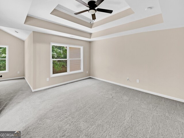 spare room featuring a raised ceiling, carpet flooring, and plenty of natural light