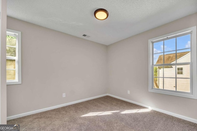 spare room with carpet flooring, a textured ceiling, and plenty of natural light