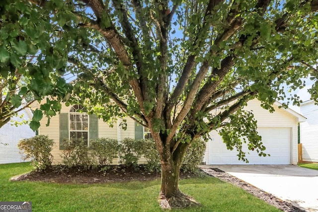 obstructed view of property with a front lawn