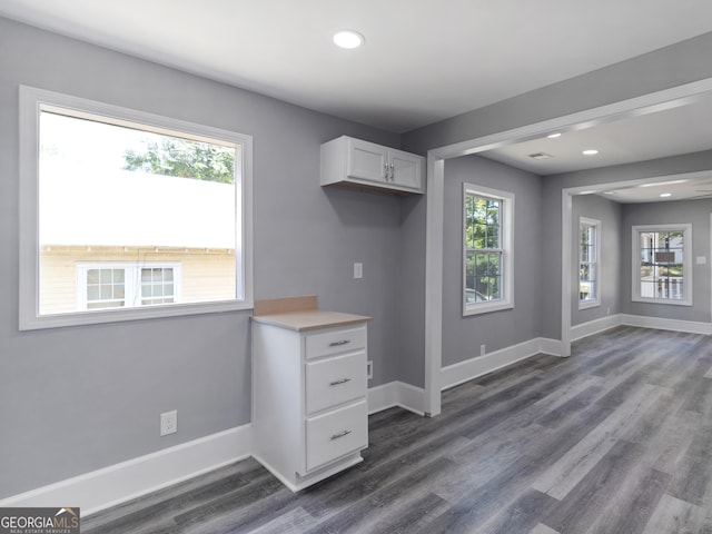 kitchen with white cabinets, dark hardwood / wood-style flooring, and a wealth of natural light