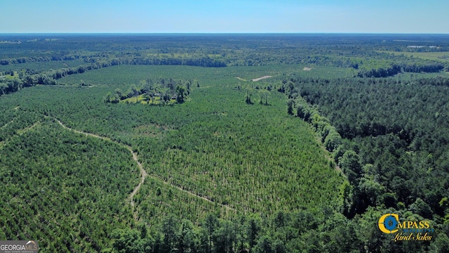 0 Marvis Chapman Rd, Ideal, GA 31041