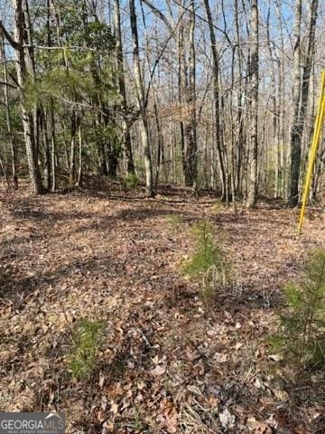 Listing photo 3 for 10.49AC Lakeland Dr, Ellijay GA 30540