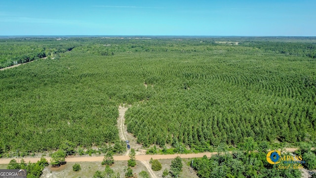 0 Montgomery Rd, Mauk GA, 31058 land for sale