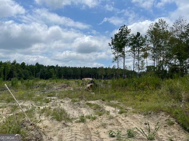 Listing photo 3 for 0 Gooch Rd, Lot C Eastman GA 31023