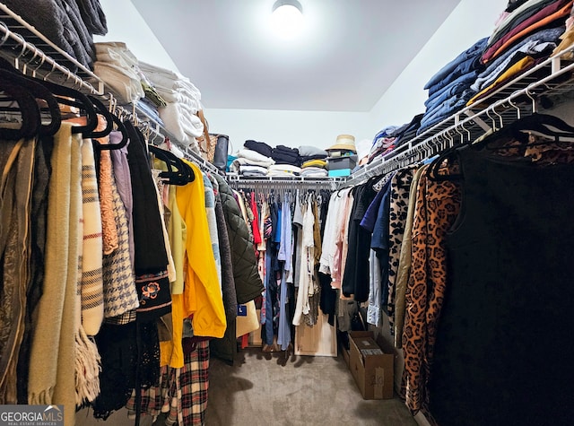 spacious closet featuring carpet