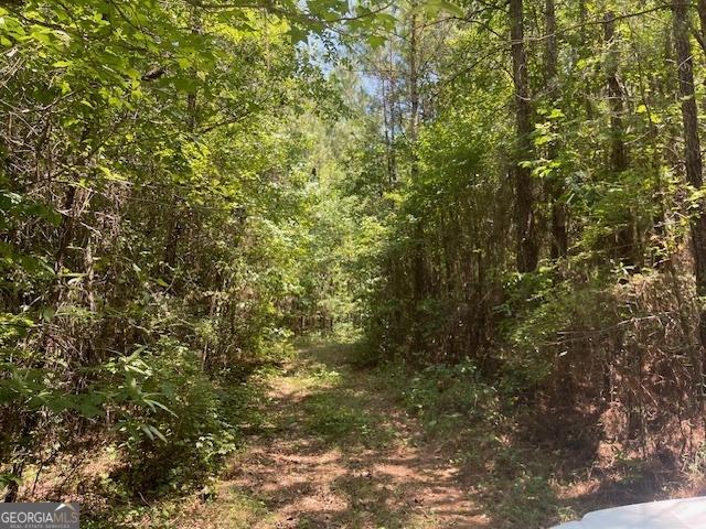 TRACT2 Sheppard Rd, Franklin GA, 30217 land for sale