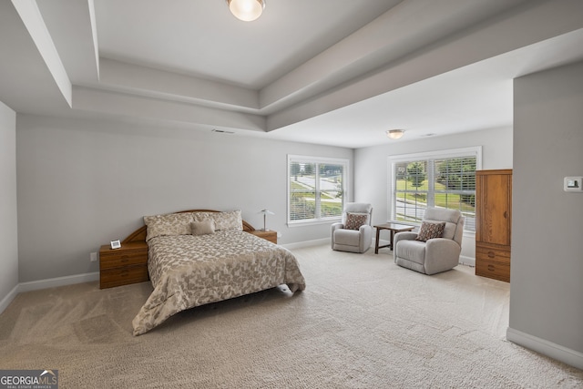 bedroom featuring a raised ceiling and carpet flooring