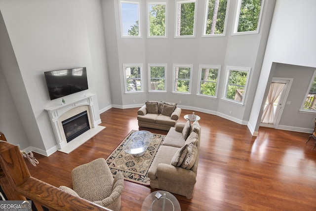 living room with dark hardwood / wood-style flooring and a high ceiling