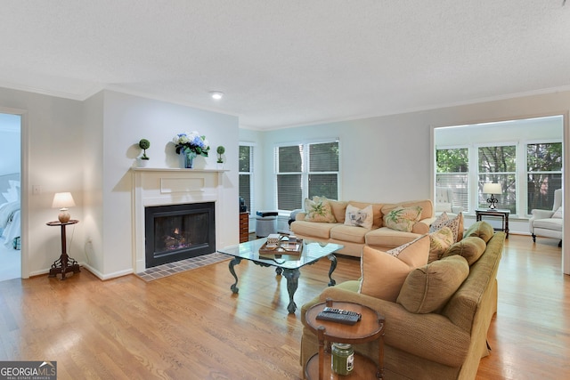 living room featuring crown molding, light wood-type flooring, and a textured ceiling