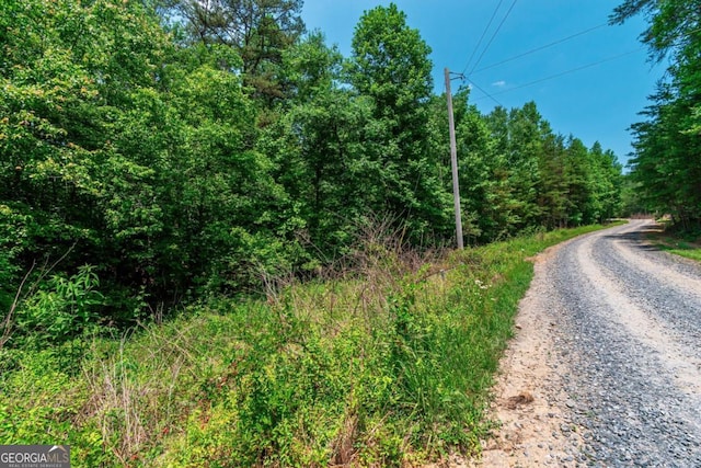 3.35AC Pine Ln, Mineral Bluff GA, 30559 land for sale