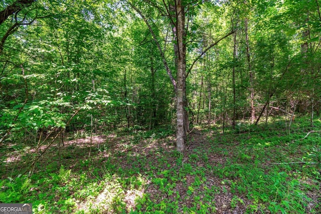 Listing photo 2 for 3.35AC Pine Ln, Mineral Bluff GA 30559