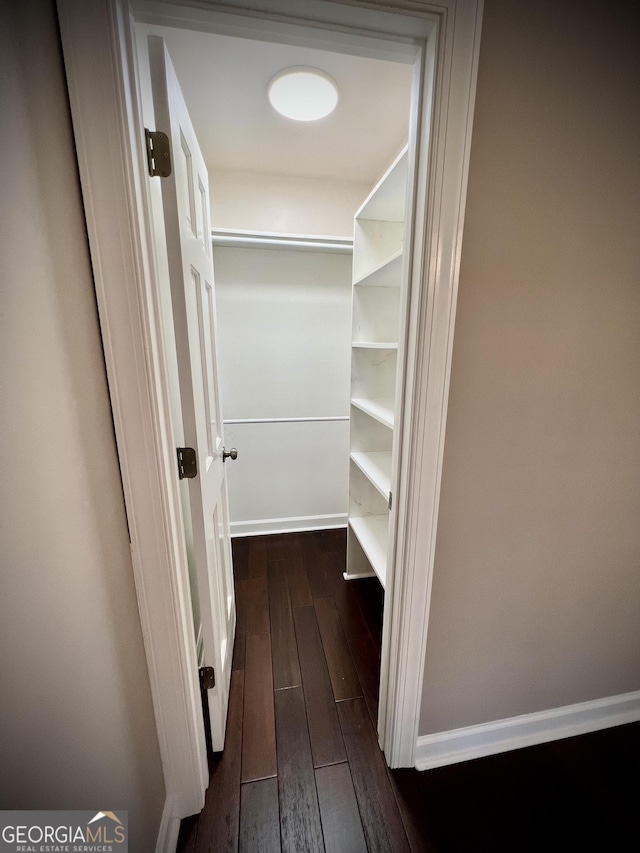 walk in closet with dark hardwood / wood-style floors