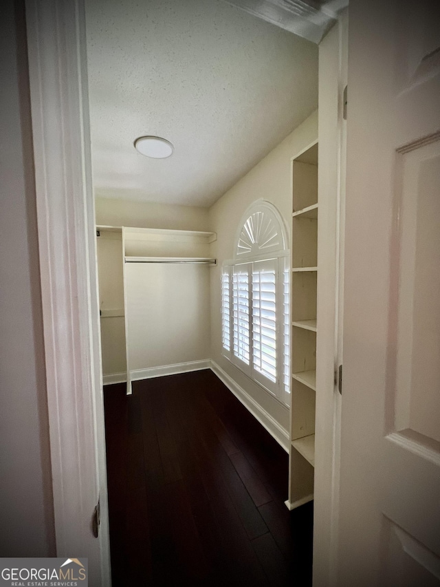 spacious closet with dark hardwood / wood-style flooring