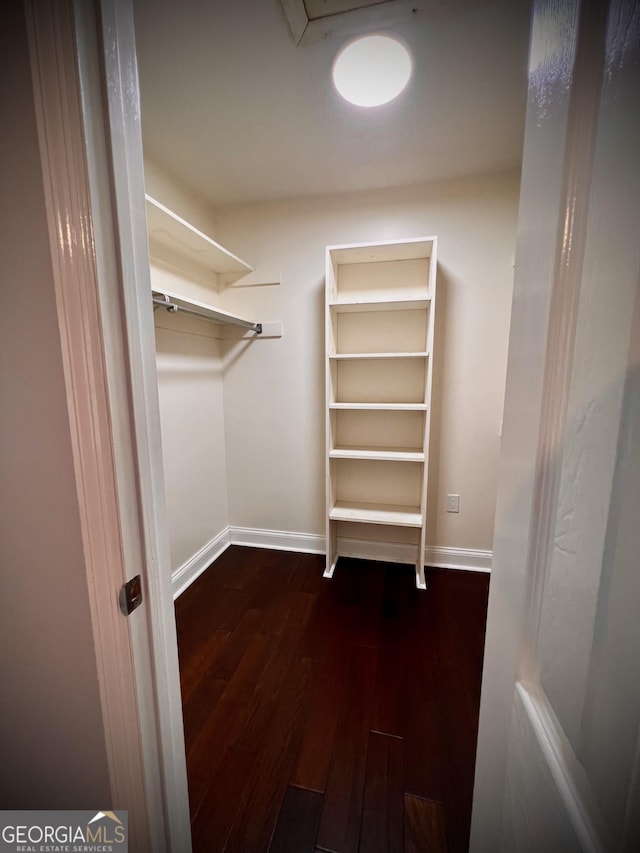 walk in closet featuring dark wood-type flooring