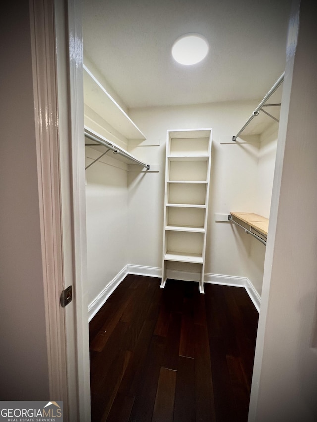 walk in closet with dark hardwood / wood-style flooring