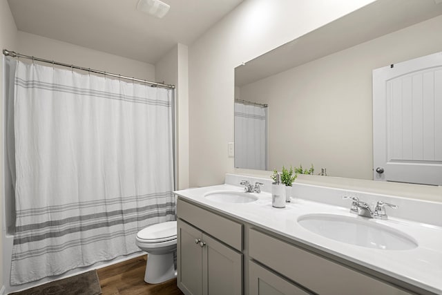 bathroom with vanity, wood-type flooring, and toilet