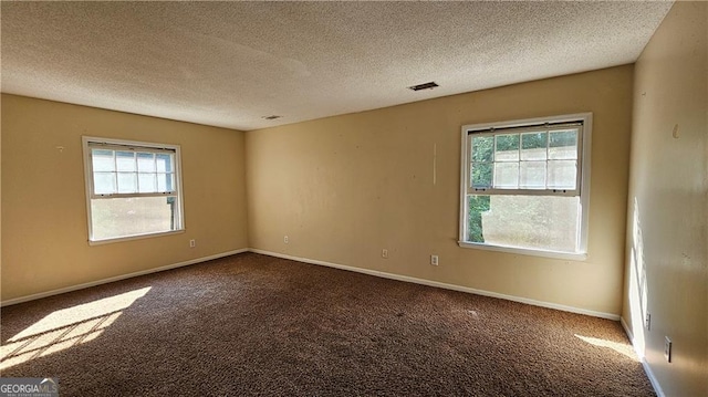 carpeted empty room with a healthy amount of sunlight and a textured ceiling