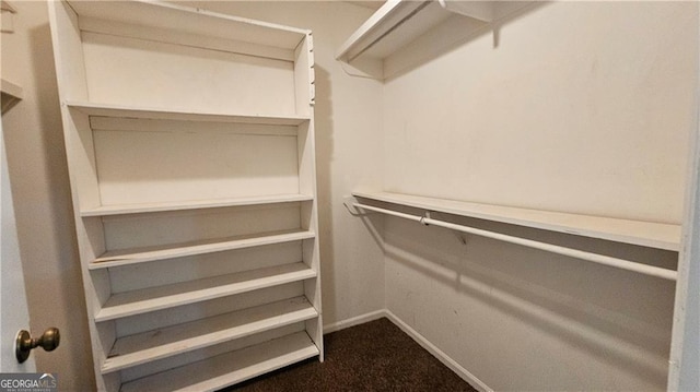 walk in closet featuring carpet floors