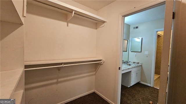 spacious closet with sink and dark colored carpet