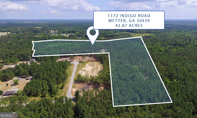 1172 Indigo Rd, Metter GA, 30439 land for sale