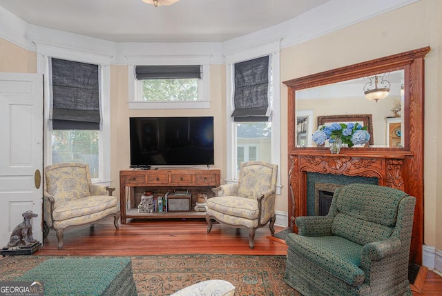 living room featuring hardwood / wood-style floors