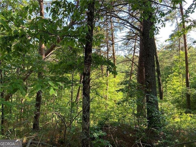 1335 Birch Ln, Ranger GA, 30734 land for sale