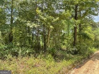 0 Gooch Rd, Lot F Eastman GA, 31023 land for sale