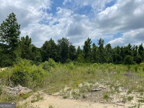 Listing photo 2 for 0 Gooch Rd, Lot F Eastman GA 31023