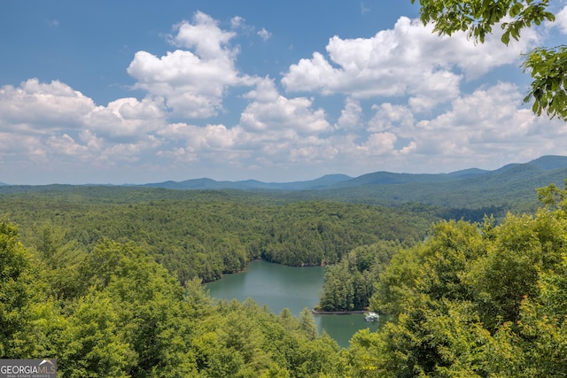 aerial view featuring a view of trees and a water and mountain view