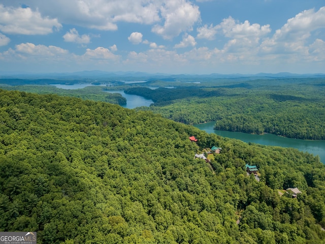 aerial view with a water view and a wooded view