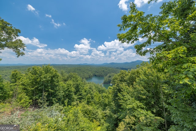 mountain view with a water view