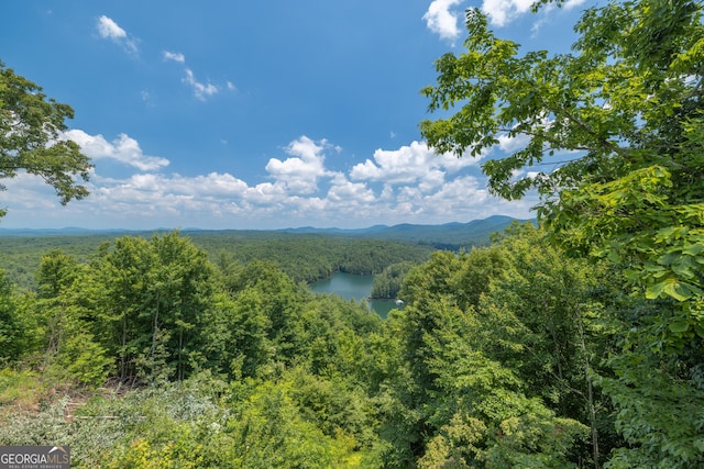 view of mountain feature with a water view and a wooded view