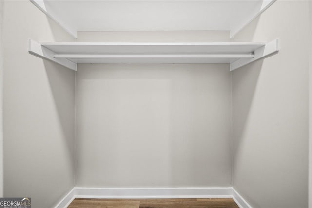 walk in closet featuring wood-type flooring