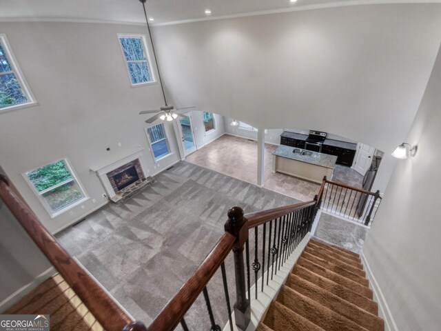 staircase featuring carpet, ceiling fan, a towering ceiling, and a fireplace