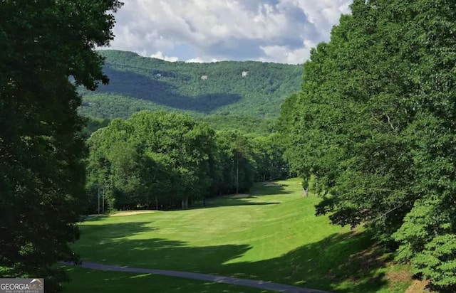 view of community featuring a mountain view and a yard